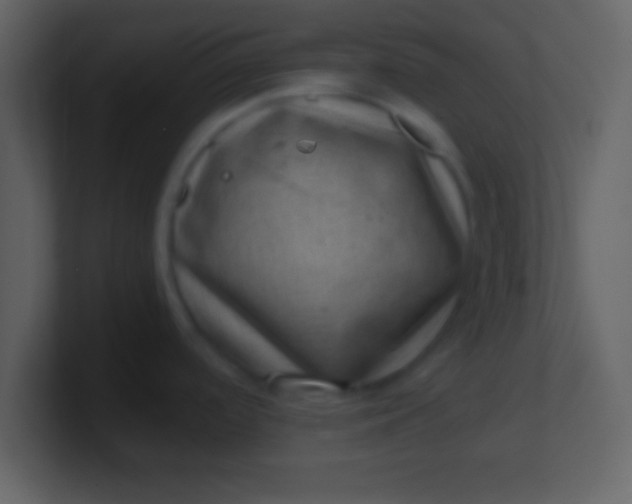 X0000100901488200807081052