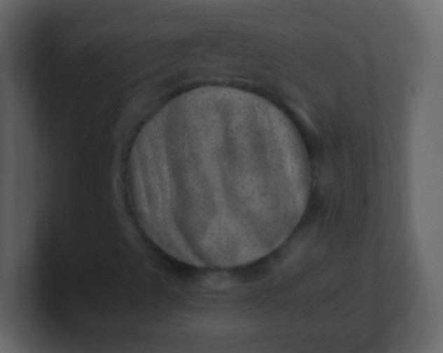 X0000100901489200807081051