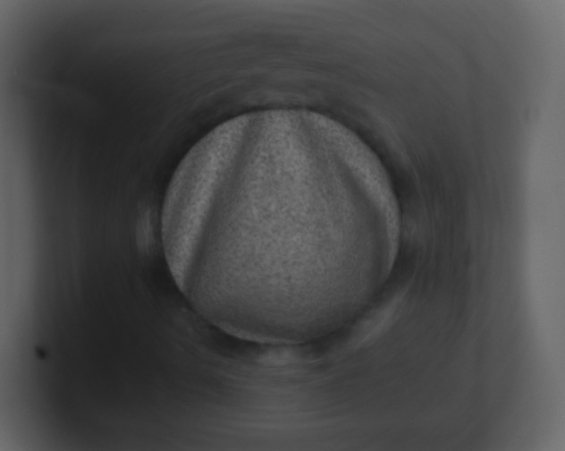 X0000100901490200807081051