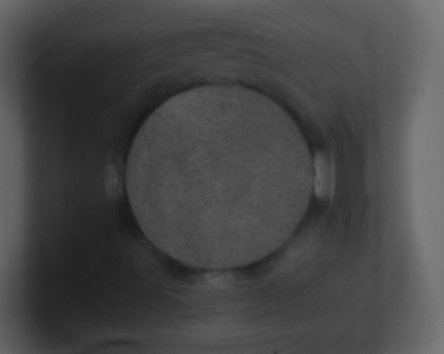 X0000100901491200807081051