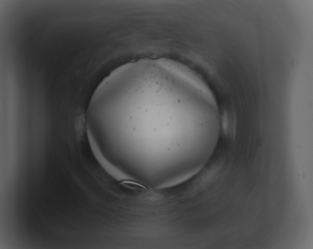 X0000100901492200807081051