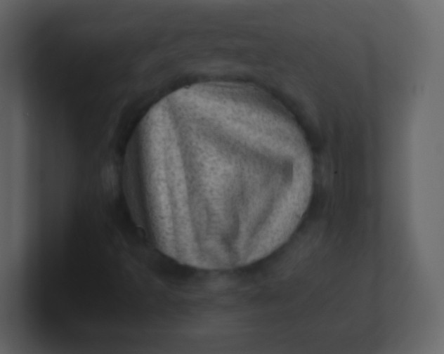 X0000100901493200807081051