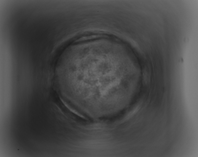 X0000100901494200807081051