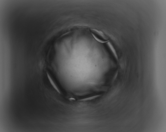 X0000100901495200807081051