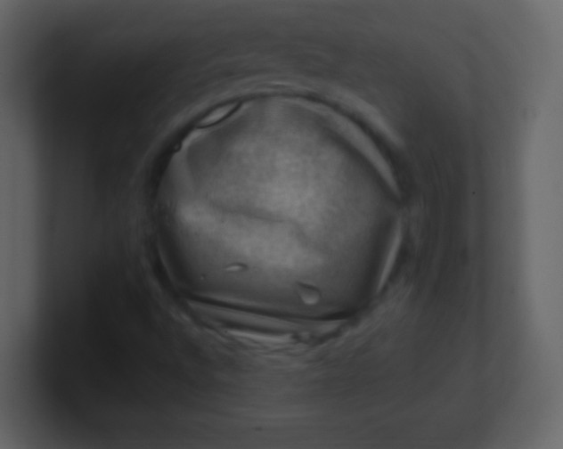 X0000100901496200807081051