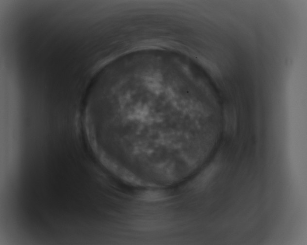 X0000100901497200807081051