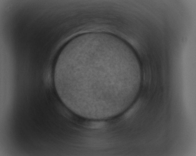 X0000100901498200807081051