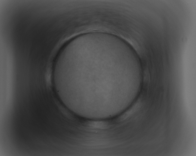 X0000100901499200807081051