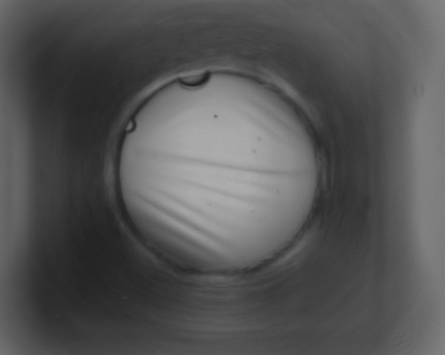 X0000100901500200807081051