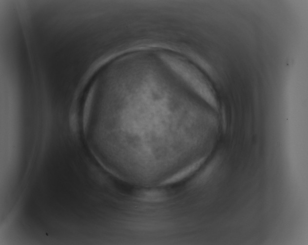 X0000100901501200807081051