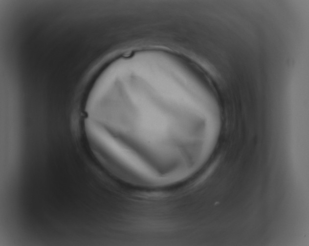 X0000100901502200807081051