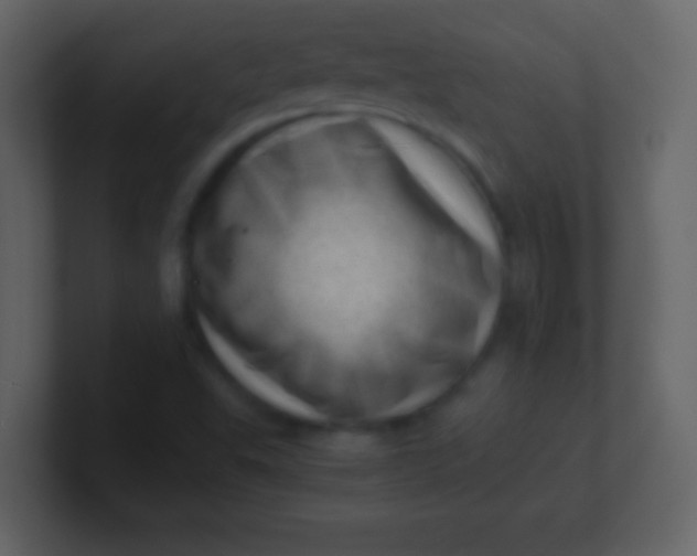 X0000100901503200807081051