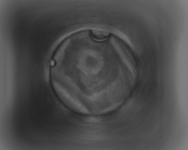 X0000100901504200807081051