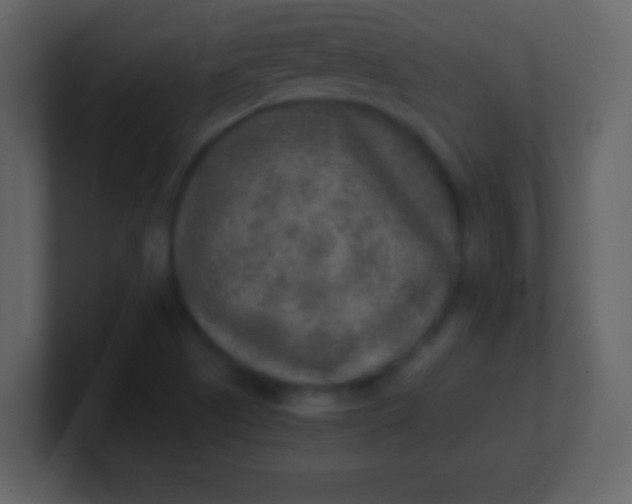 X0000100901505200807081051