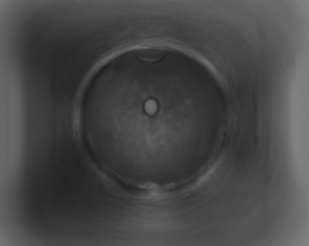 X0000100901506200807081051