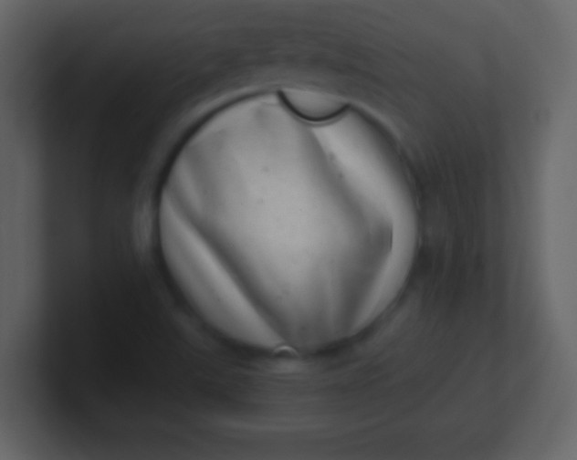 X0000100901507200807081051