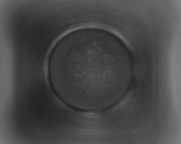 X0000100901508200807081051