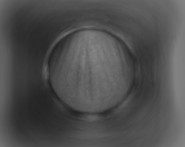 X0000100901509200807081051