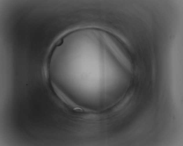 X0000100901510200807081051