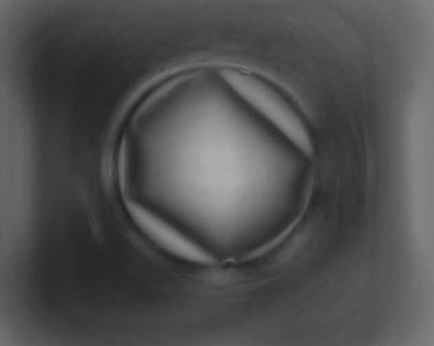 X0000100901511200807081051