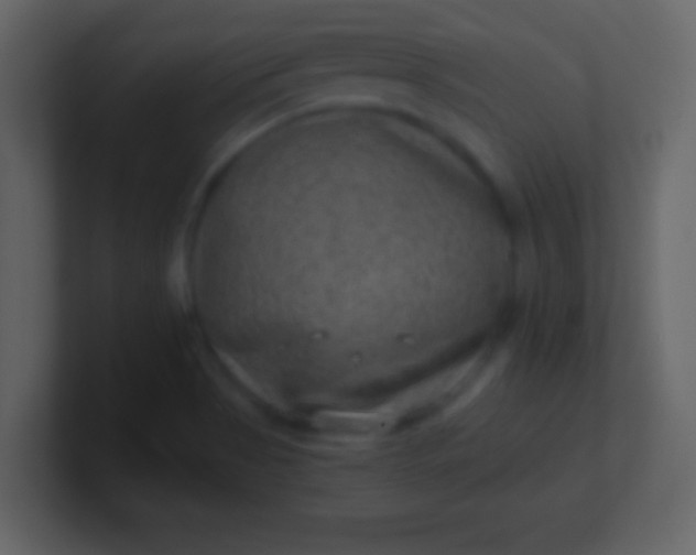 X0000100901513200807081051