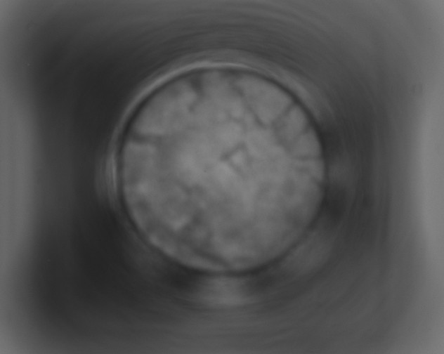 X0000100901514200807081051