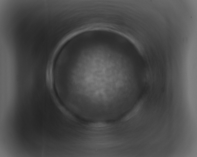 X0000100901515200807081051