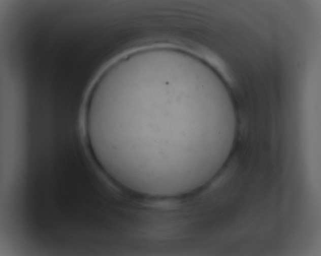 X0000100901516200807081051