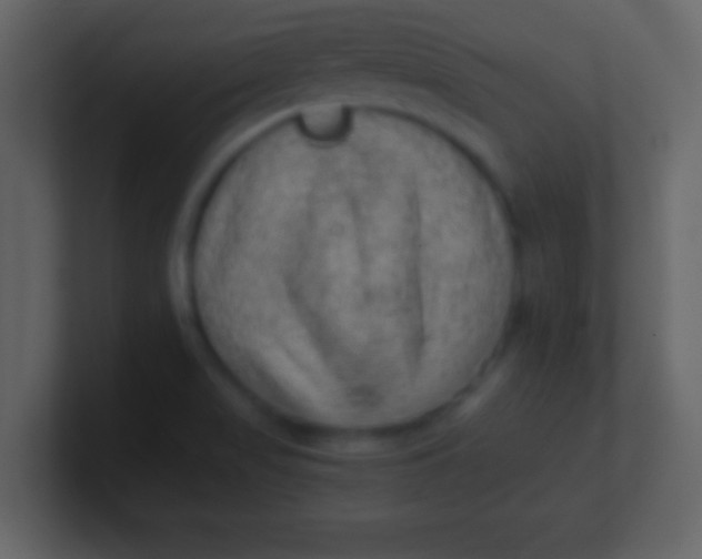 X0000100901517200807081051