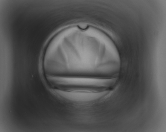 X0000100901518200807081051