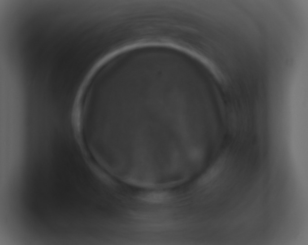 X0000100901519200807081051