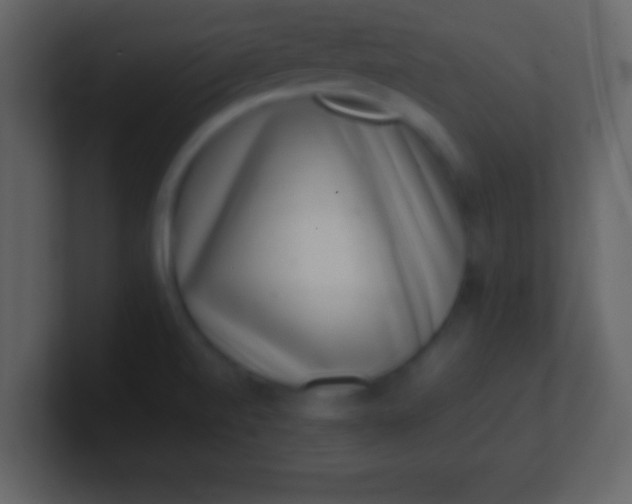 X0000100901520200807081051