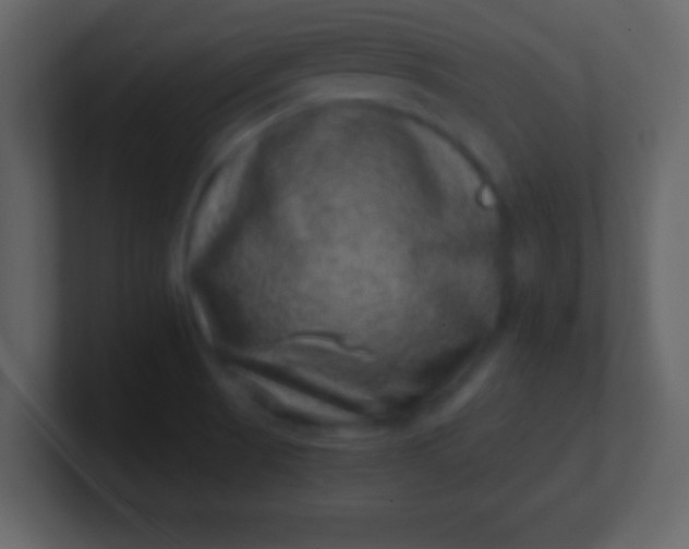 X0000100901521200807081051