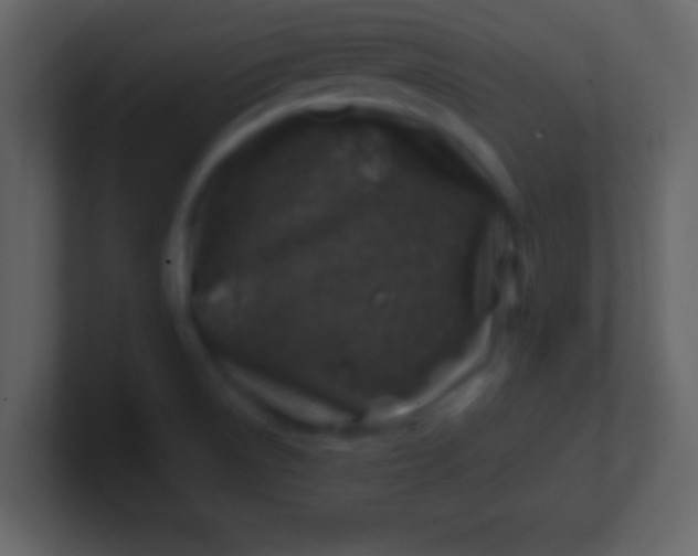 X0000100901522200807081051