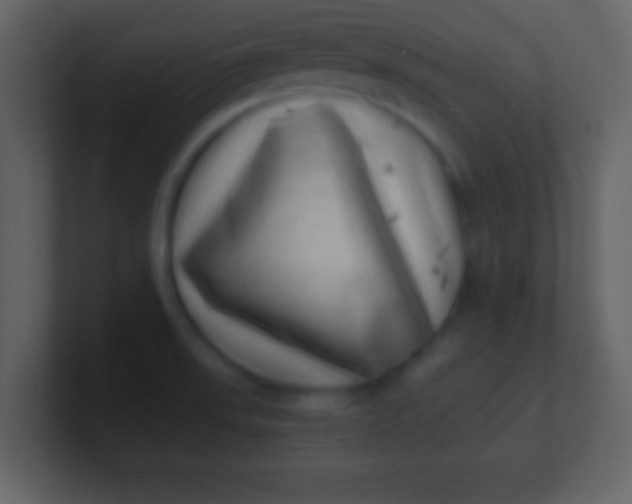 X0000100901523200807081051