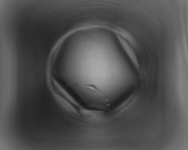 X0000100901524200807081051