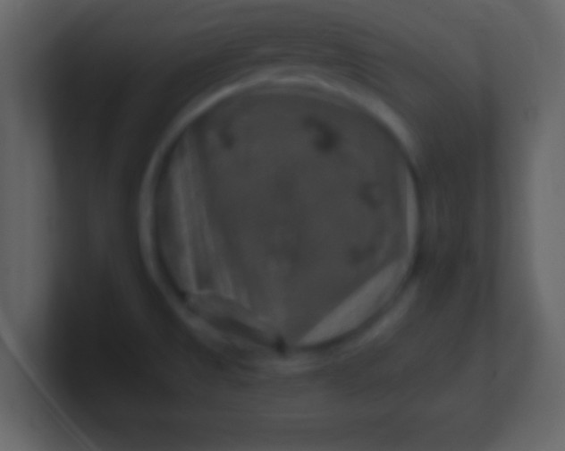 X0000100901525200807081051