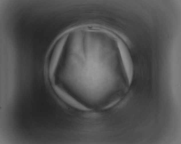 X0000100901526200807081051