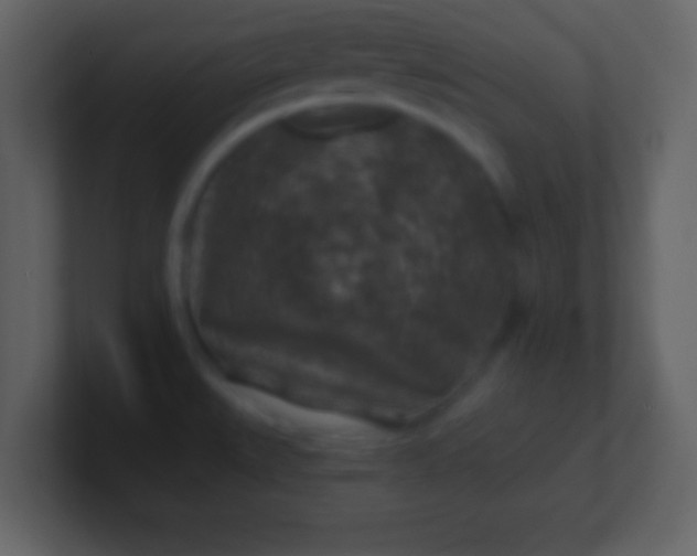 X0000100901527200807081051