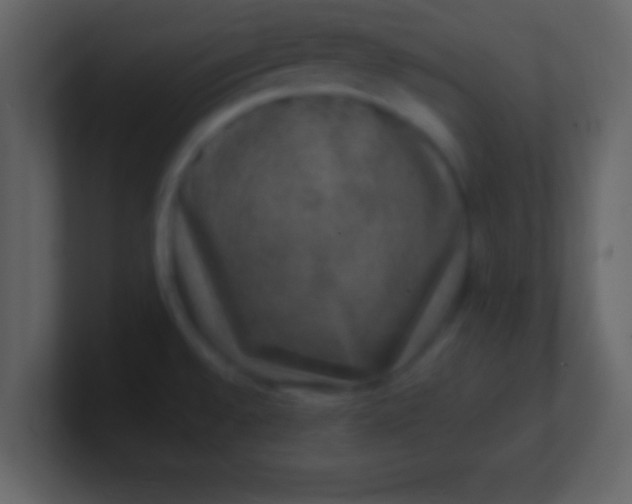 X0000100901528200807081051