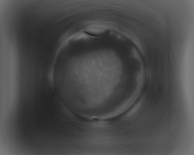 X0000100901529200807081051