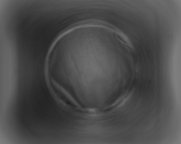 X0000100901530200807081051