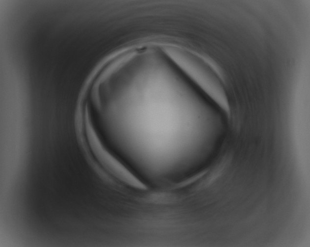 X0000100901531200807081051