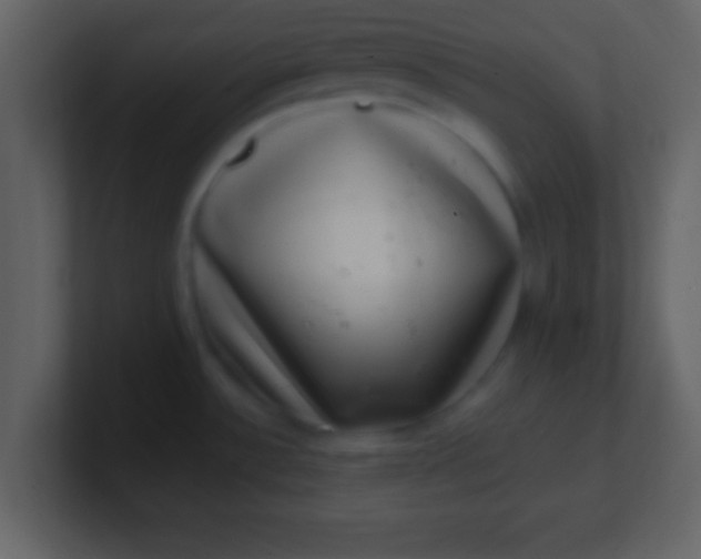 X0000100901532200807081052