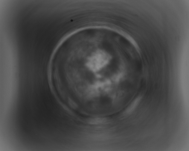 X0000100901533200807081052