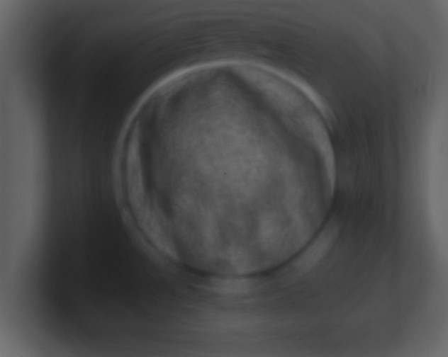 X0000100901534200807081052