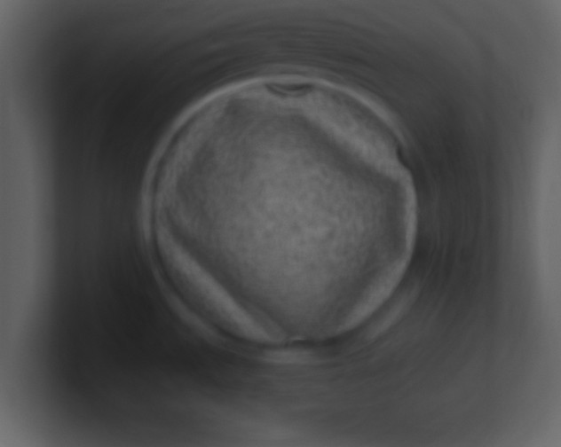 X0000100901535200807081052