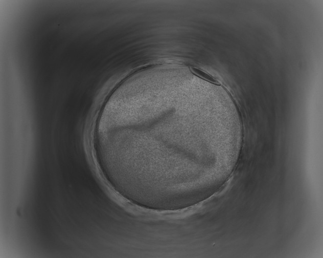 X0000100900001200807151127