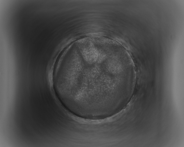 X0000100900002200807151127