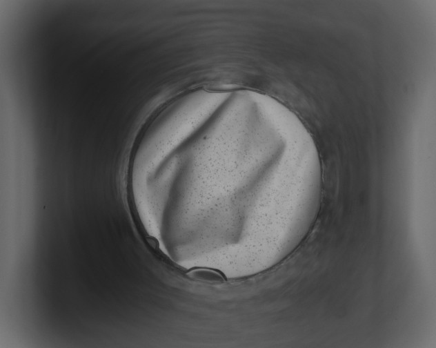 X0000100900003200807151127